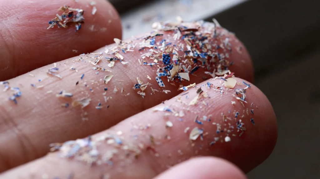 microplastic in fish in the USA